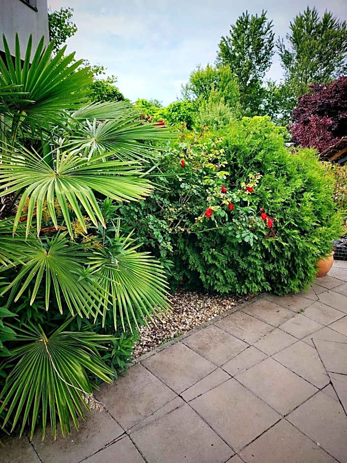 Caballus Lovasmajor Panzió