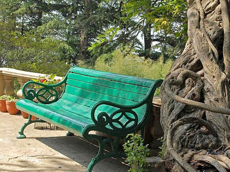 Woodville Palace by Signum