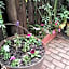 A1 Kynaston Guest House bed and breakfast or self catering