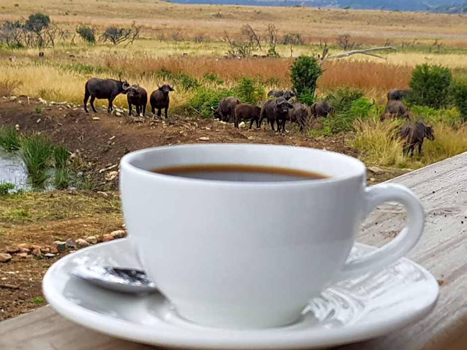 Nambiti Plains Lodge