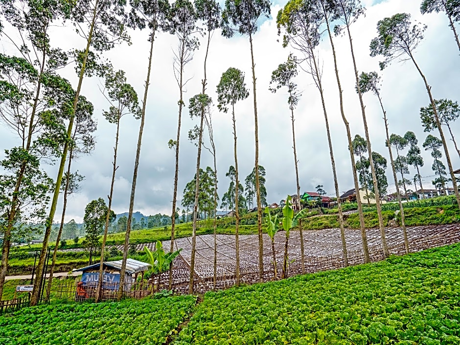 Hotel O Artana Bed and Breakfast.NearSitu Cileunca