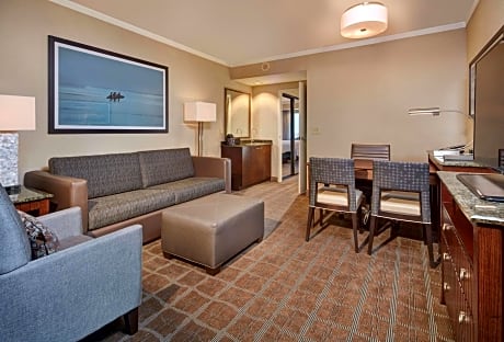 King Premium Suite - Hearing Accessible
