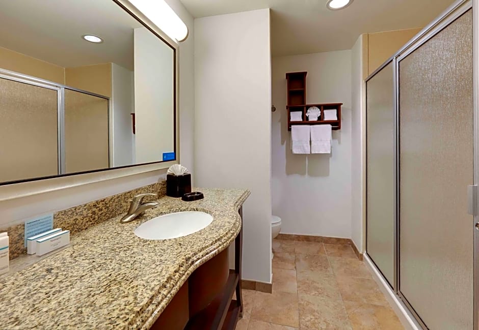 Hampton Inn By Hilton & Suites Dallas-Arlington-South