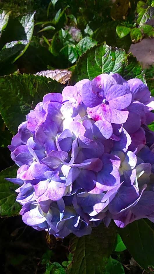 Nas Nuvens Hospedaria