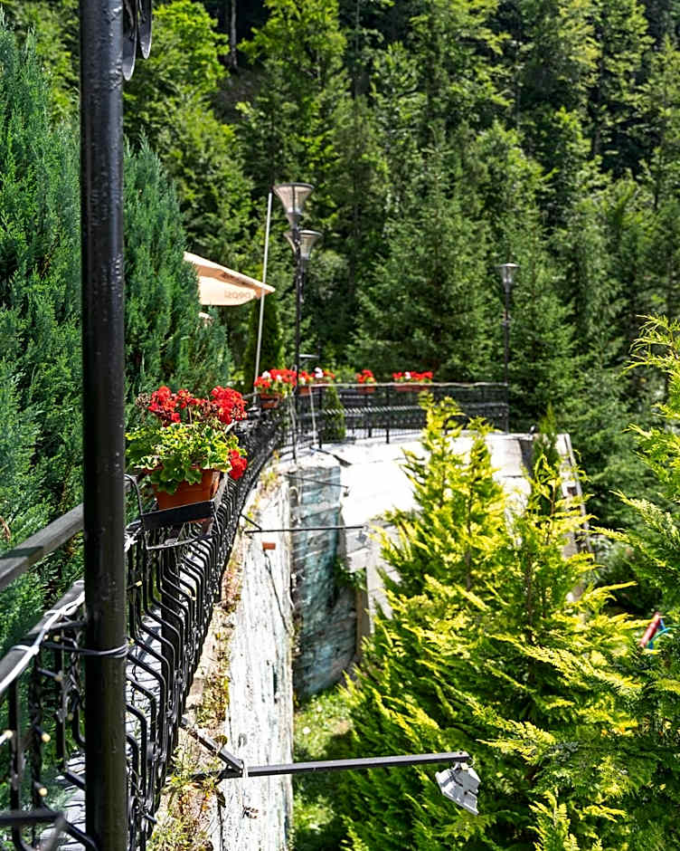Piscul Negru Hotel - Transfagarasan