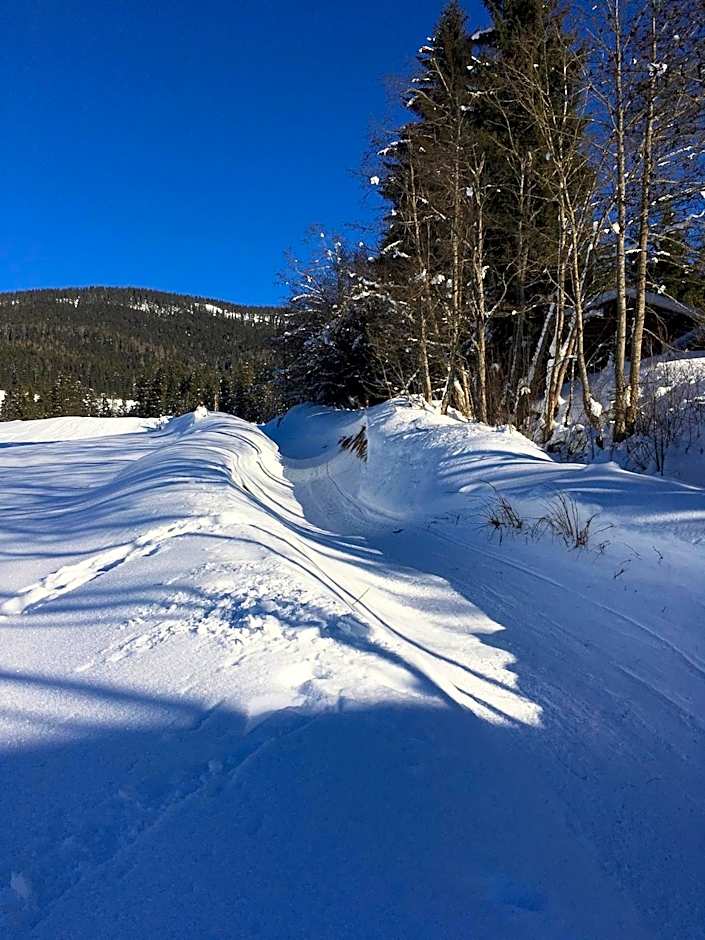 Boutique Hotel Alpenhof