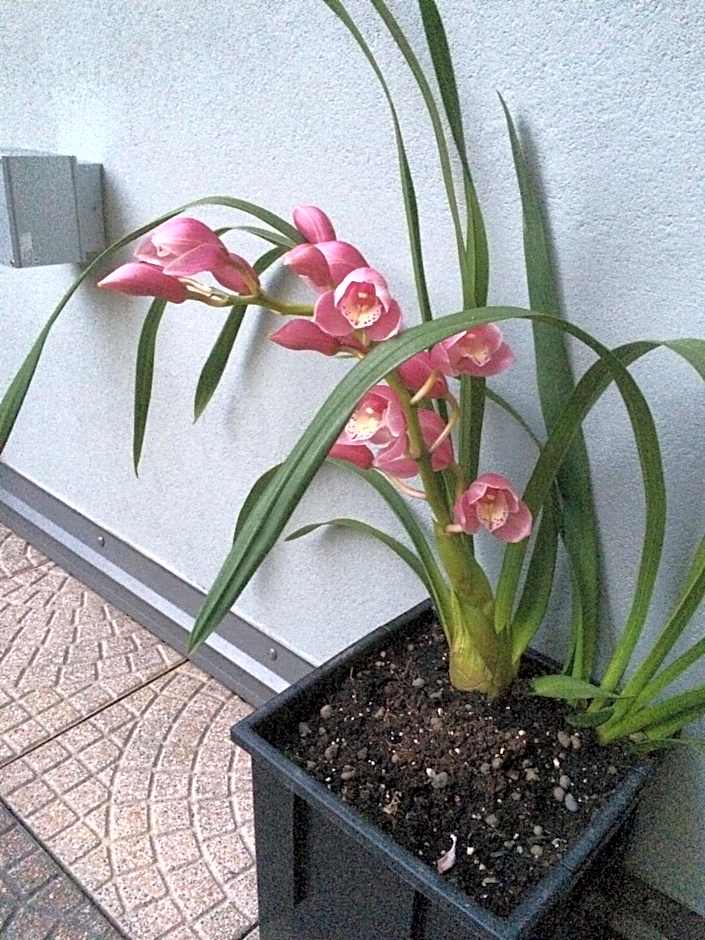 Smart-House Rent-Rooms FREE PARKING