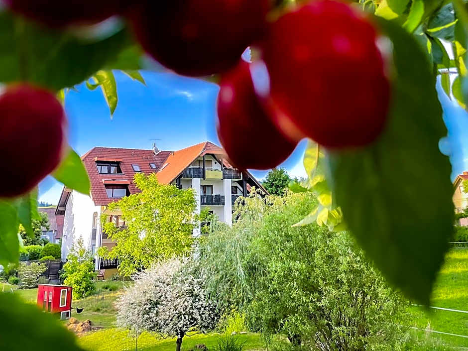 Gasthaus Hirschenstube & Gästehaus Gehri
