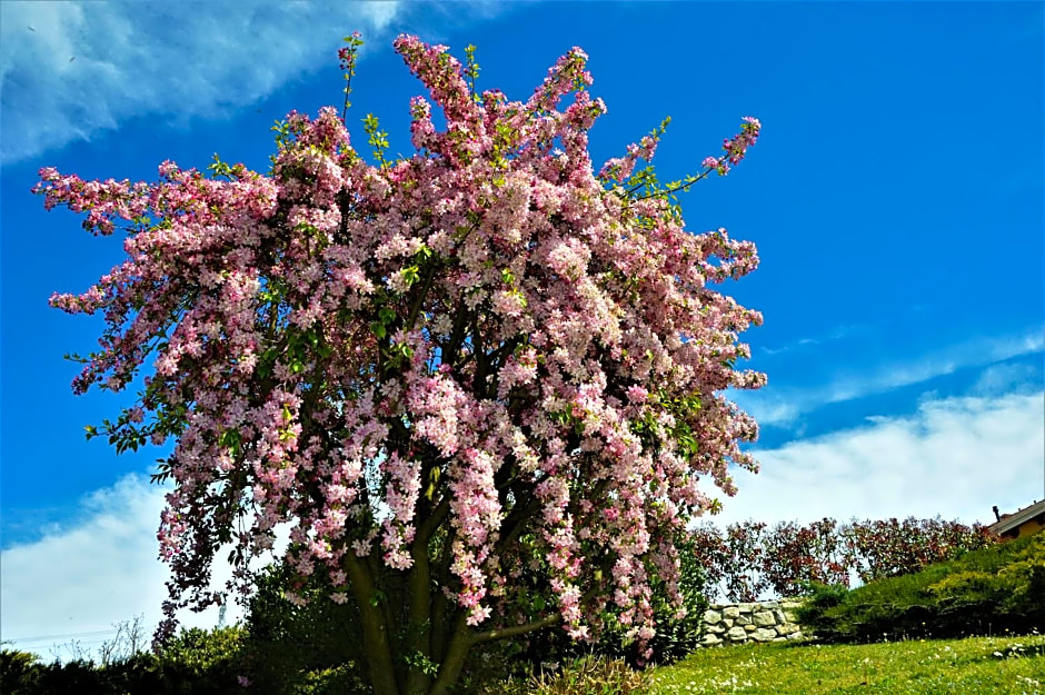 Il casotto nelle Langhe