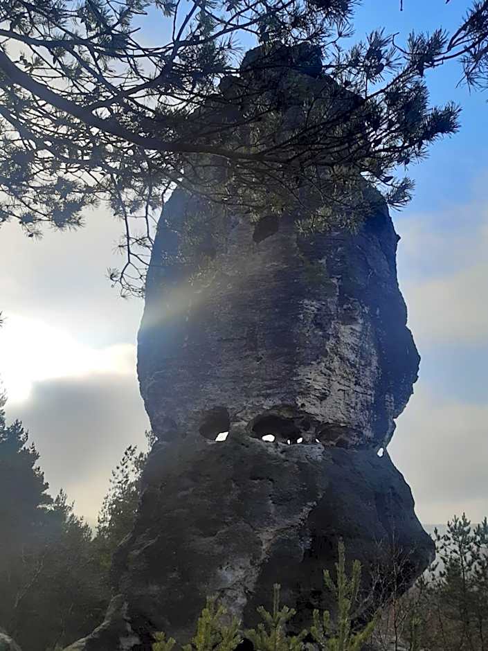 Fox House Tisá / Rájec