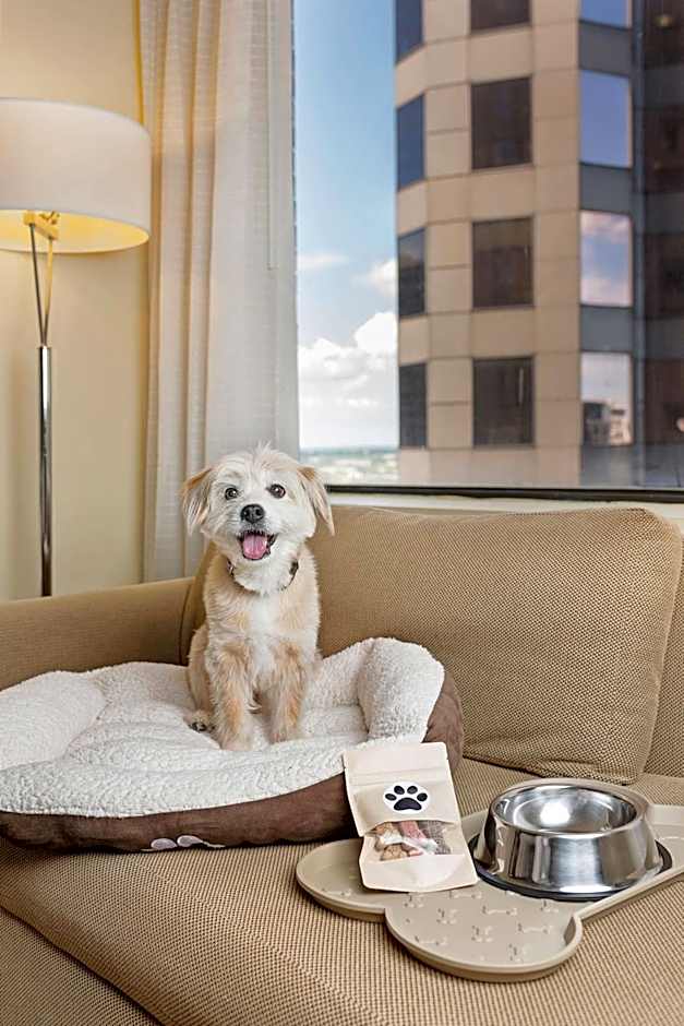 Hyatt Regency Houston Downtown