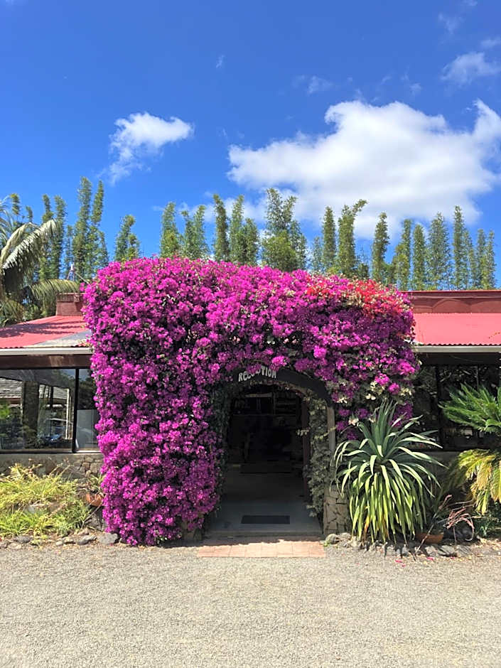 Ahipara TOP 10 Holiday Park