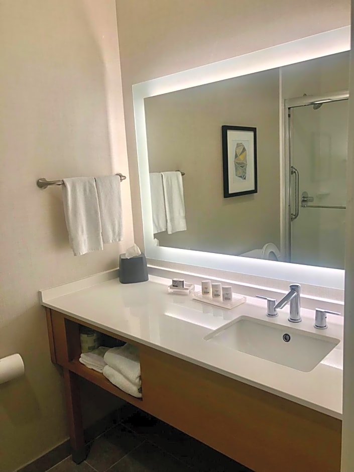 Holiday Inn & Suites Houston NW - Willowbrook By IHG