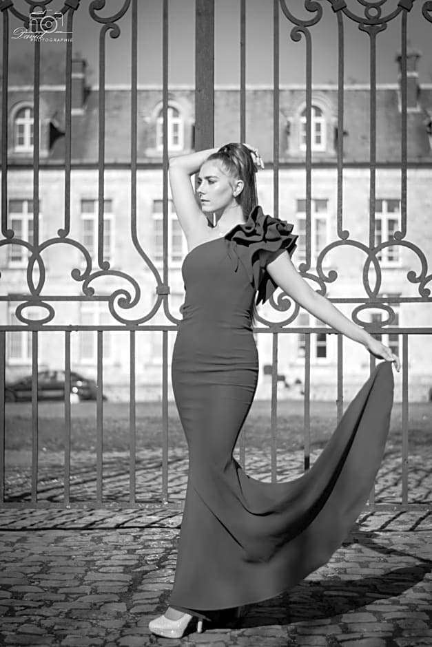 Château de Plessier-Roza