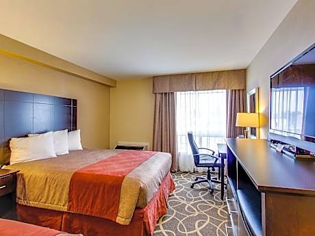 1 King Bed, Premium Suite, Non-Smoking