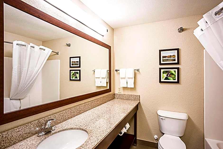 Comfort Inn And Suites