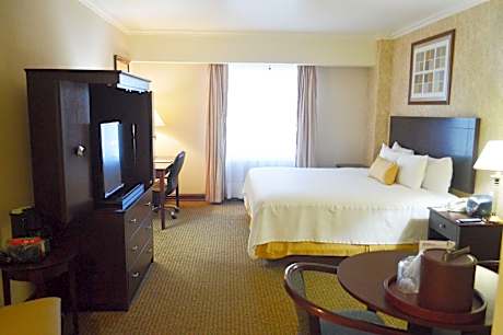 1 King Bed, Nonsmoking, Bathtub