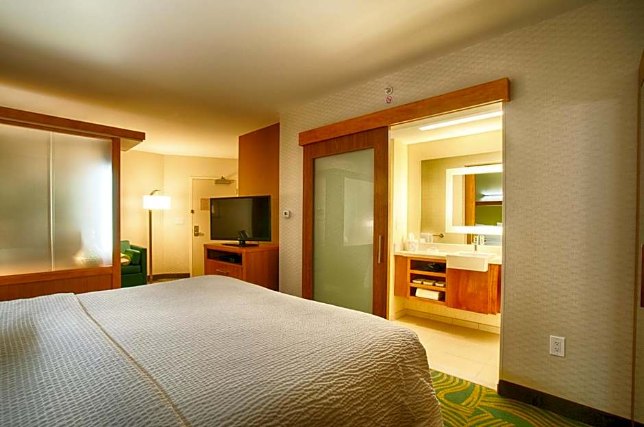SpringHill Suites by Marriott Canton