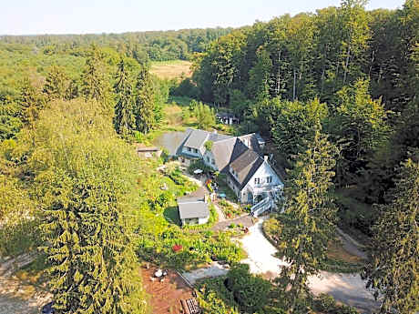 Le jardin de Saint Jean