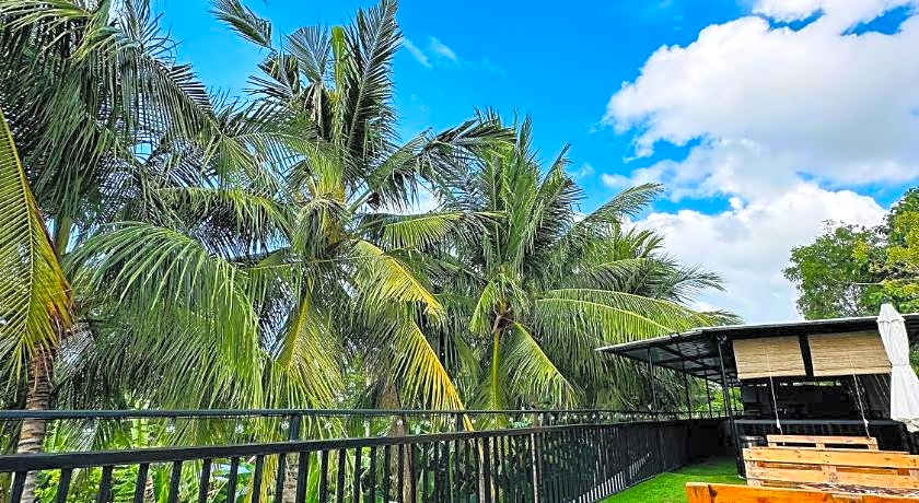 PIG DIVE HOSTEL MOALBOAL