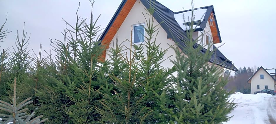 Domki Obłazówka nad Białką