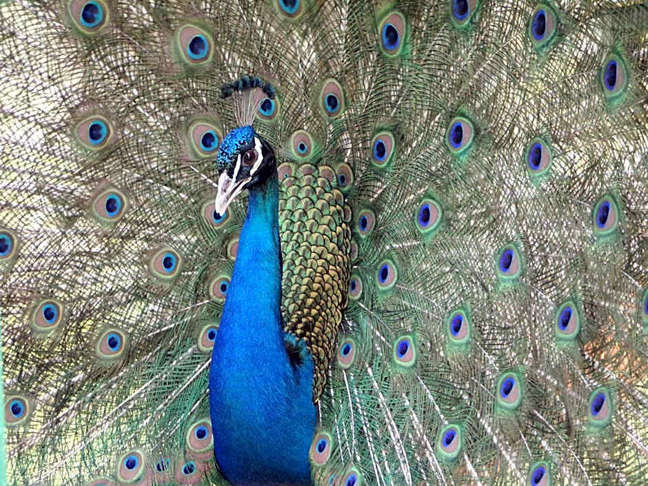 Terme Di Monte Valenza