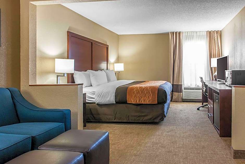 Comfort Inn Blue Ash North