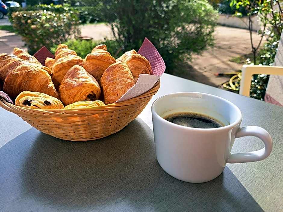 Hotel Le Saint Vincent Lyon Sud