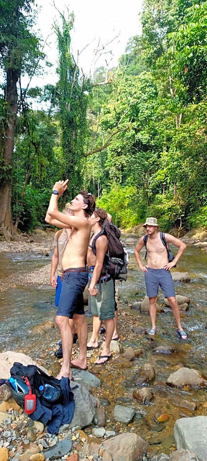 Asim Paris Guesthouse & jungle trekking