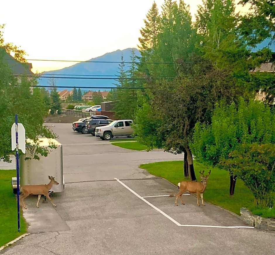 Mountain Springs Motel