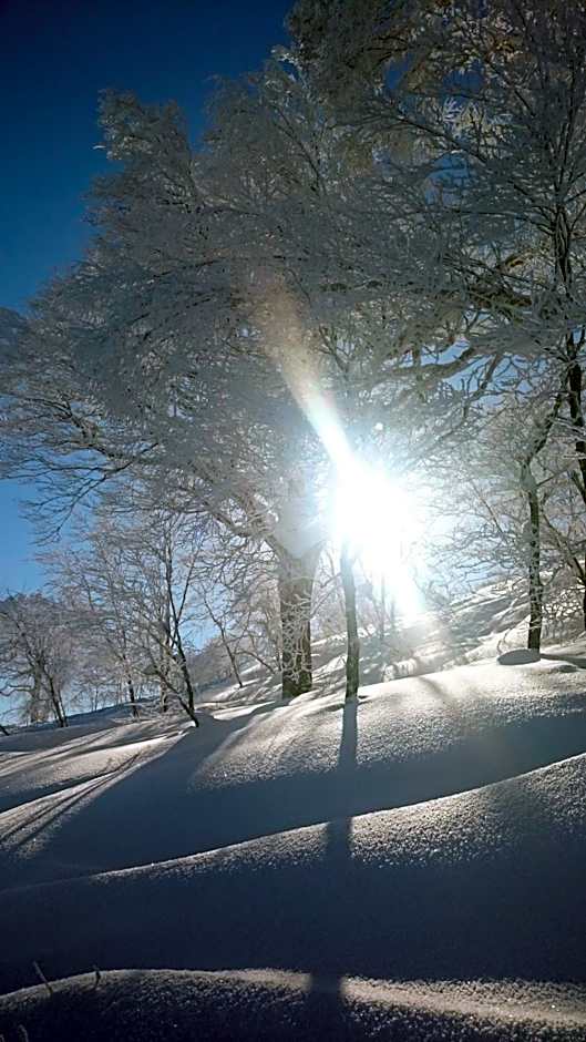 Nozawa Dream Central