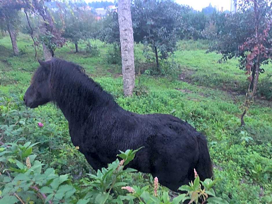 Hotel Quinta da Tulha By VimaHotels