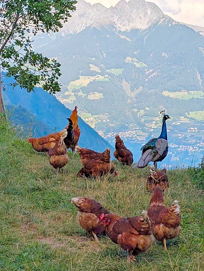 Greiterhof Partschins