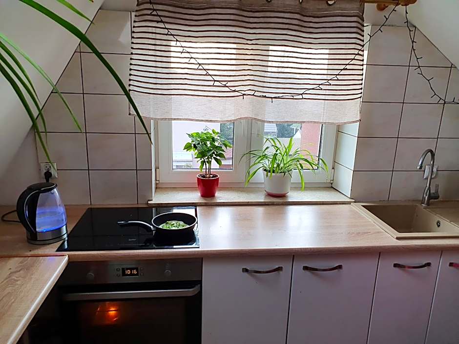 Hostel Mleczna - Metro Zacisze