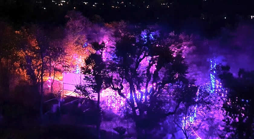 Quartz Himalayan Brothers