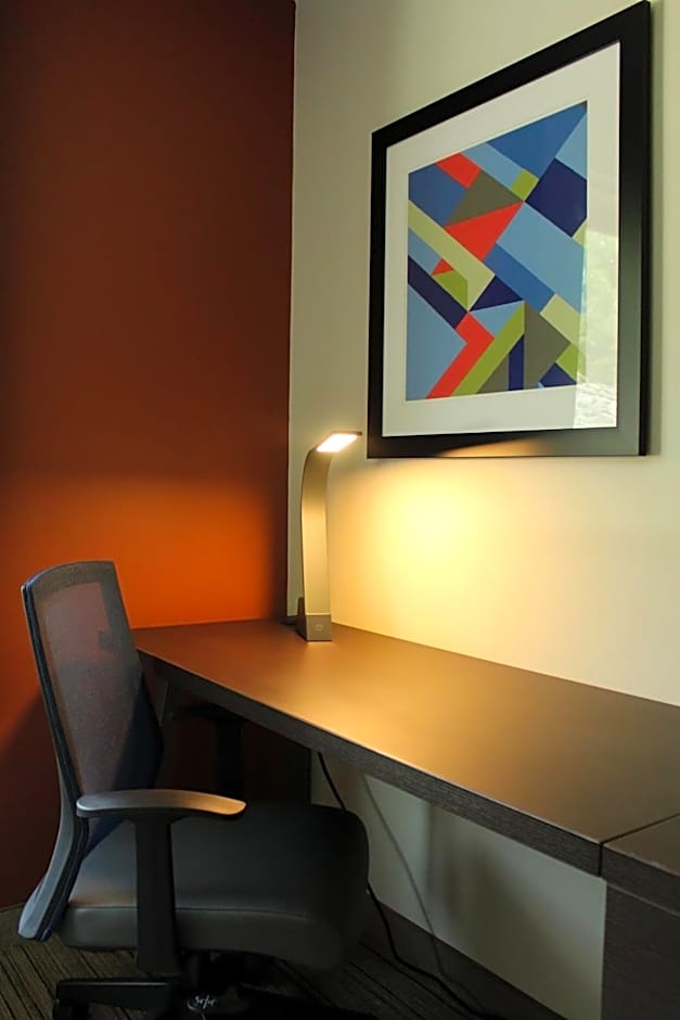 Holiday Inn Express Hotel & Suites Custer By IHG