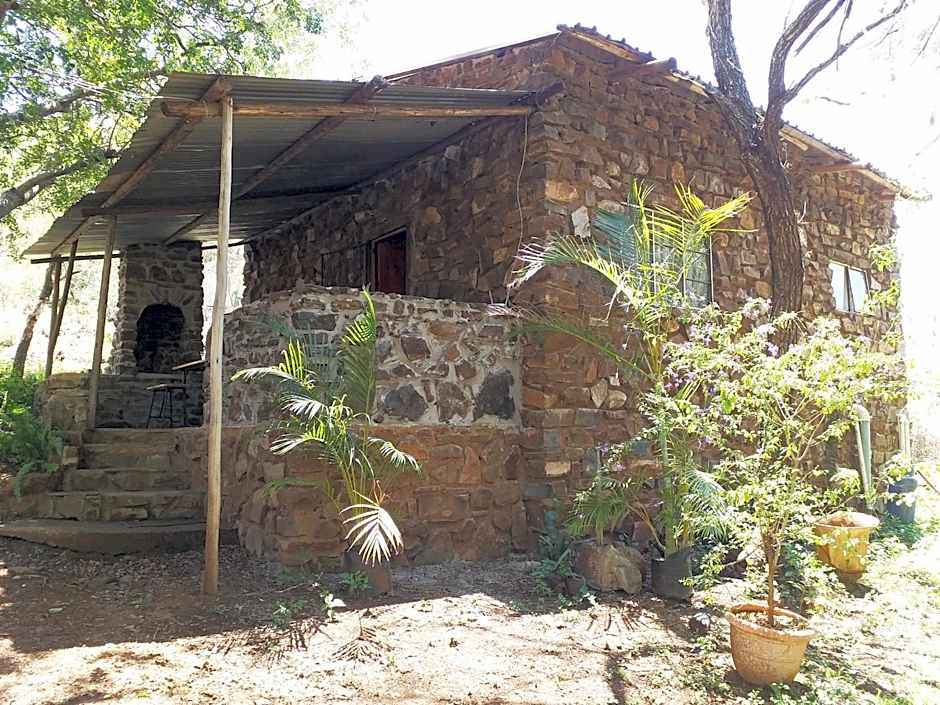 The Shoe Guest House