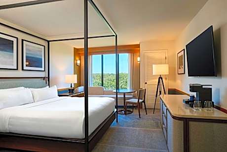 King Room with Partial Lake View