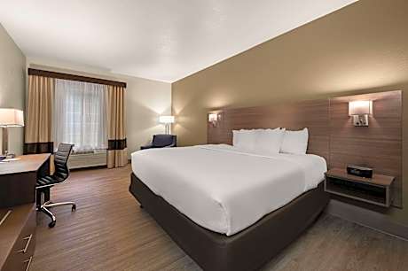 1 King Bed, Nonsmoking