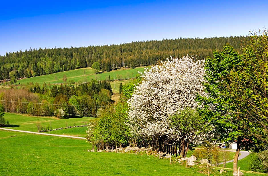 Landhotel Bärnriegel