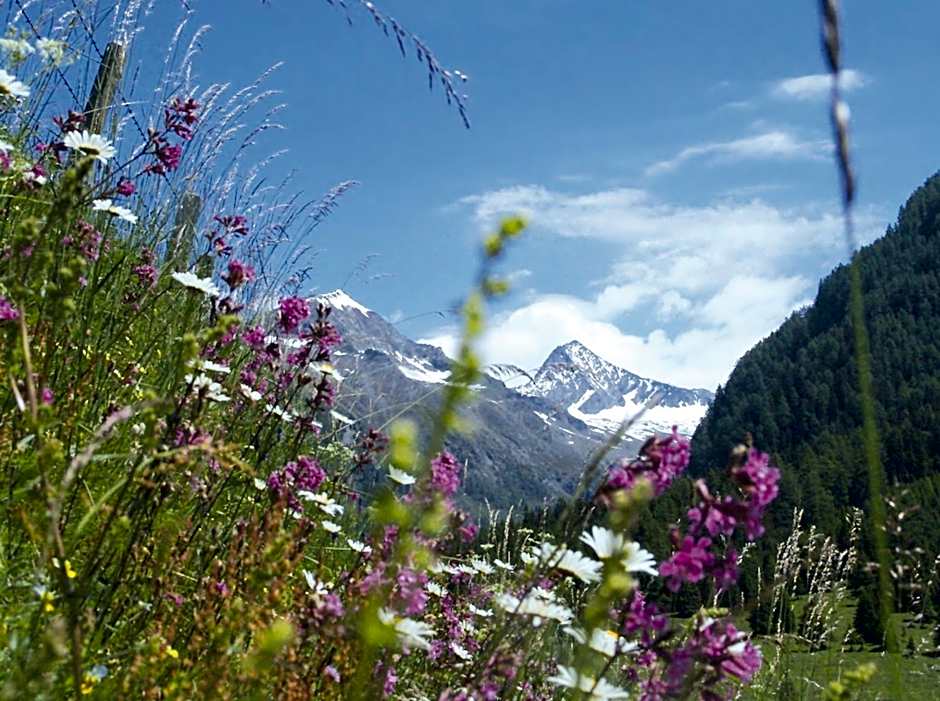 Apartments Hohenberger Mallnitz - Tauernbad und Sauna im Winter inklusive!