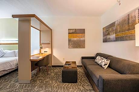 King Suite with Bathtub and Trundle Sofa - Mobility Access/Hearing Accessible