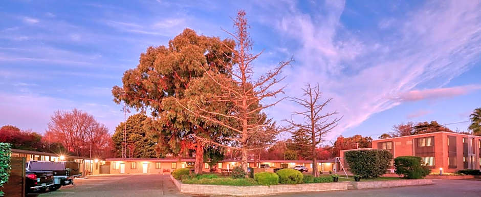 Hamilton Hume Motor Inn