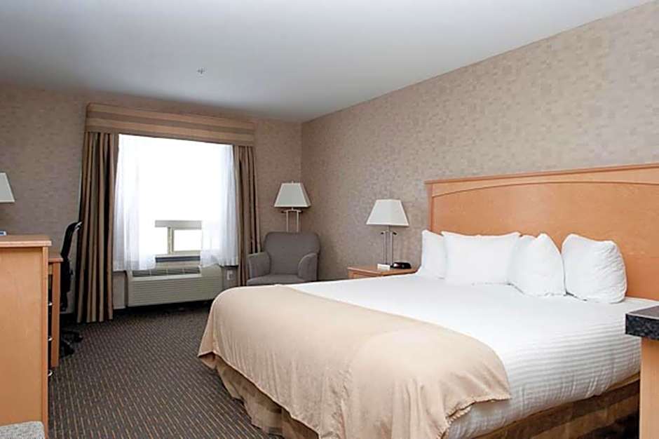 Paradise Inn and Suites