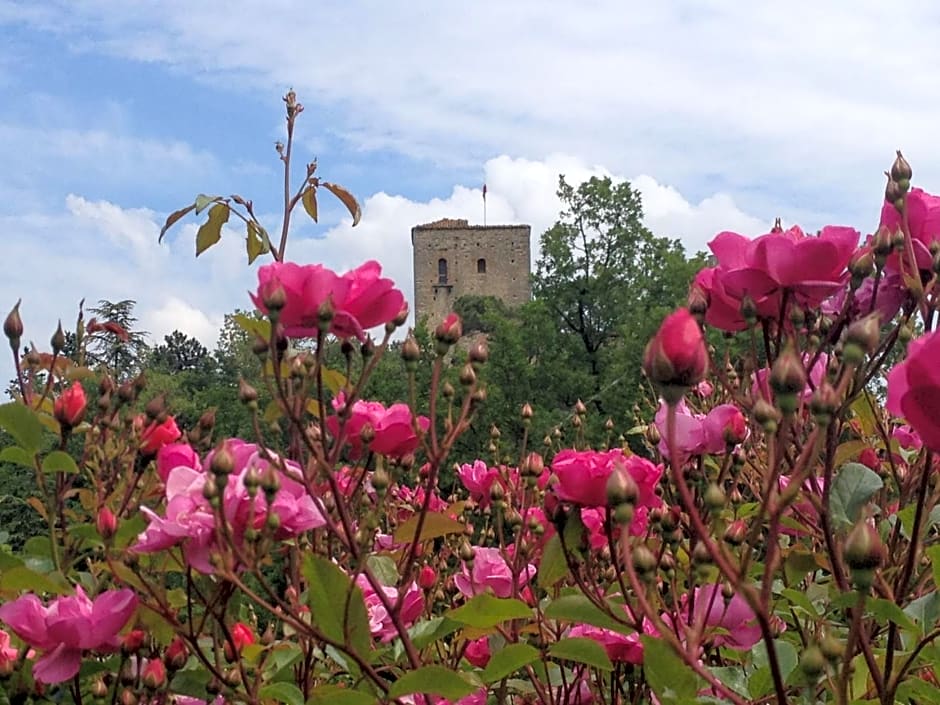 Torre del Barbagianni - Castello di Gropparello