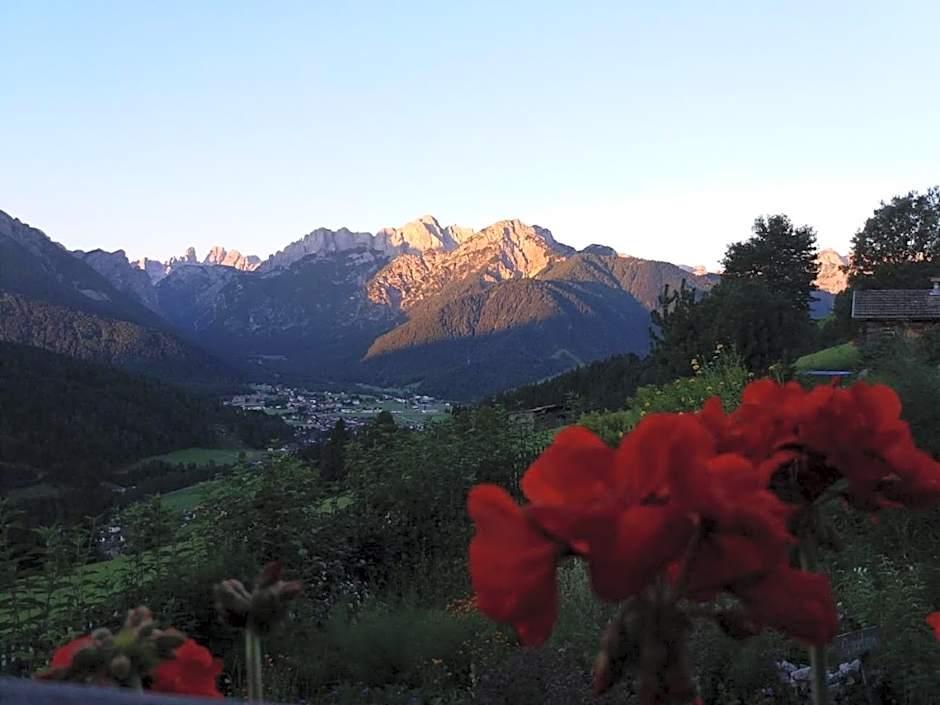 Berggut Niggler - Rusticus