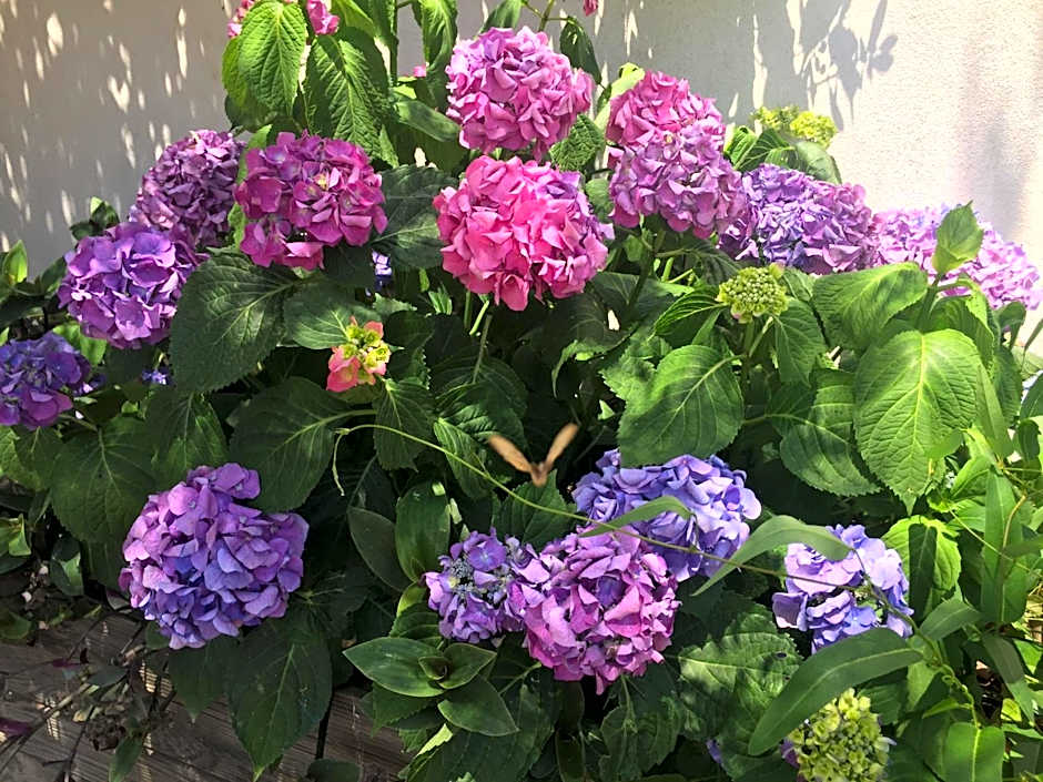 Macchia Évasion avec piscine