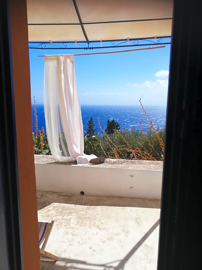 Alicudi Giardino dei Carrubi- al gradino 365