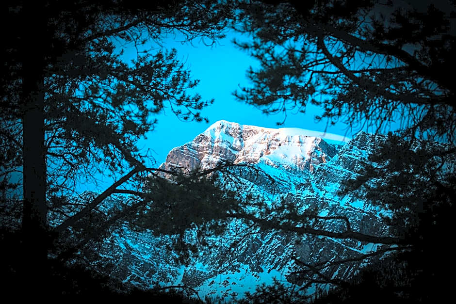 Storm Mountain Lodge Cabins Dining