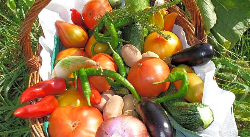 Chambres d hotes AZKENA